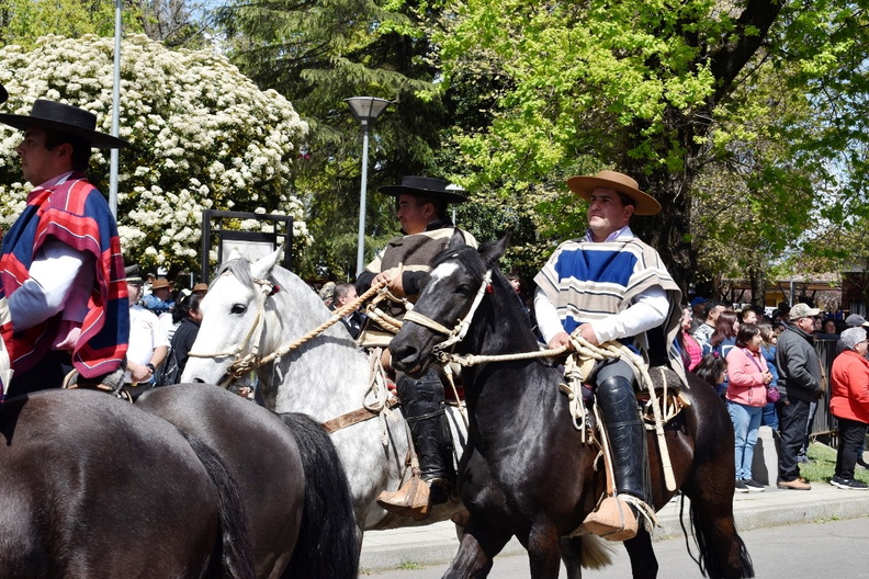 Desfile en el marco del Aniversario Nº 163° de la comuna de Pinto 11-10-2023 (670)